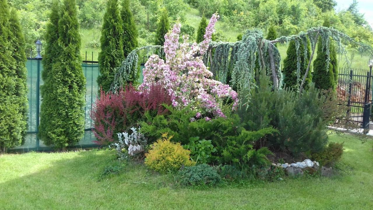 Villa Marta Ohrid Ngoại thất bức ảnh